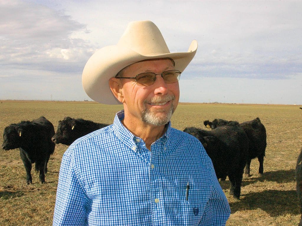 Angus Genetics