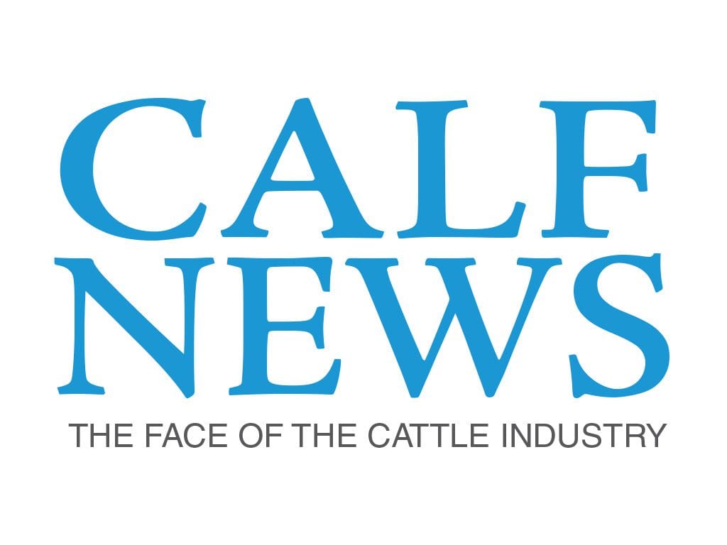 Calf News